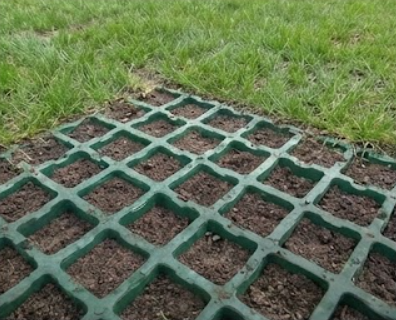 IBF gr�sarmeringssten: St�rk gr�n bel�gning