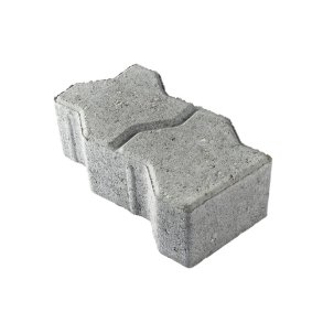 SF-Coloc 1/1 Randsten Gr IBF