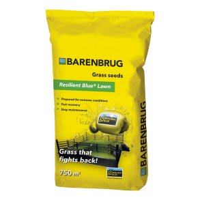 Gr�sfr� Barenbrug Resilient Blue