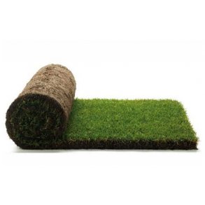 Rullegrs 1. kvalitet