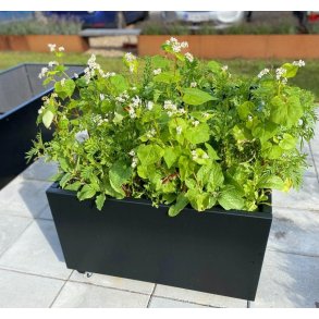 Sortlakeret Plantekumme 80x40x40 cm.